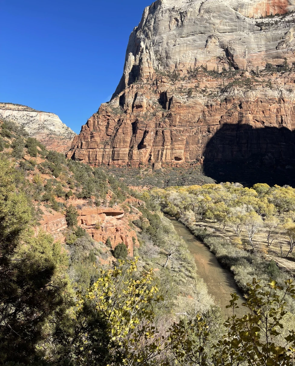 mountainside during daytime