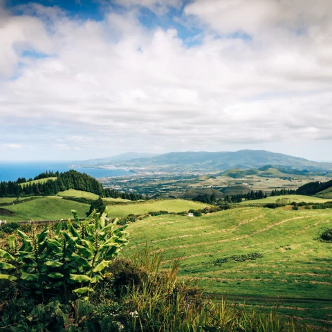 green rolling hills in Azores Portugal with tall trees and grassy bushes and blue ocean water with a blue cloudy sky