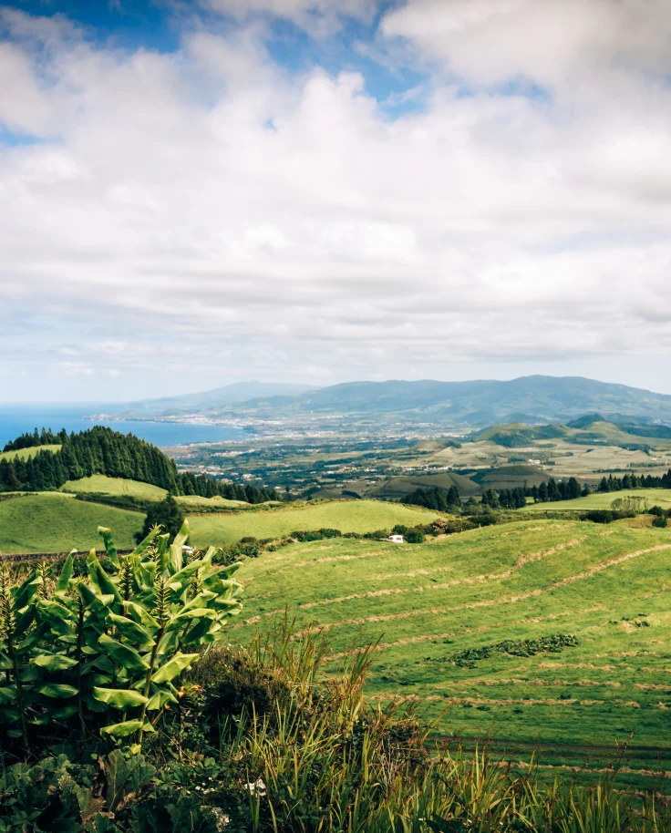 green rolling hills in Azores Portugal with tall trees and grassy bushes and blue ocean water with a blue cloudy sky