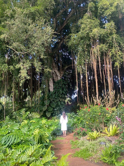 A picture of a woman standing in front of a lush forest while wearing a white dress. She is standing on a dirt plant with various shrubs around her. 