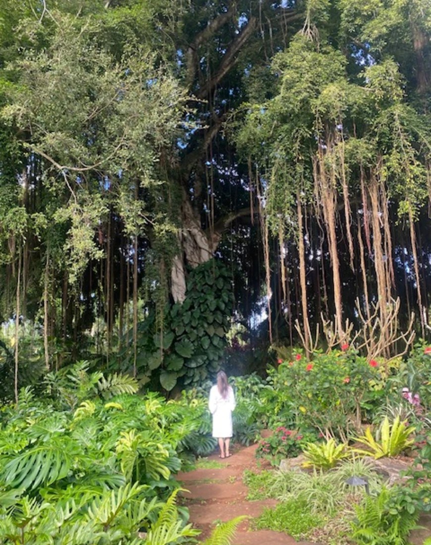 A Luxurious 10 Days Visiting the Hawaiian Islands