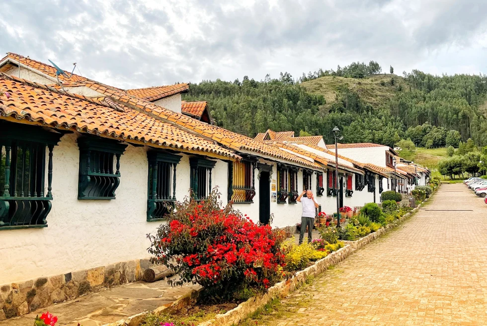 white houses next to a cobblestone street