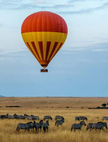 A hot air balloon over group of zebras