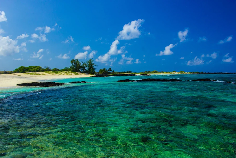 clear blue waters and sandy beach during the day