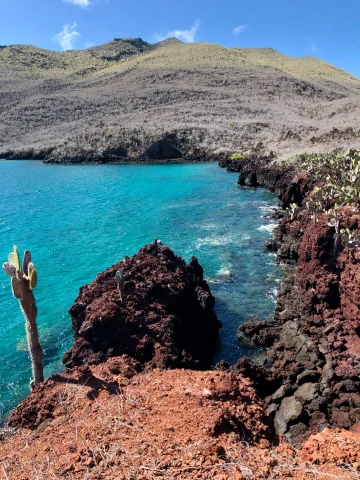 A scene of the mountainous coastline, and blue sea of the Galapagos Islands.