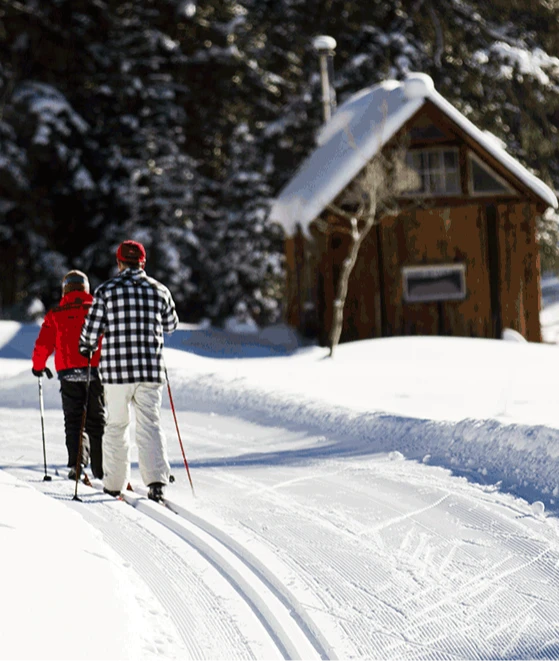 Two people cross country skiing, seen from behind, with a small, wooden cabin and tall trees.