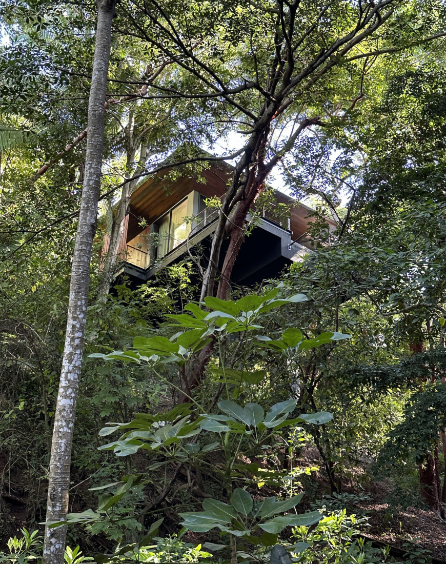 Treehouse Villa - Tarika Richter