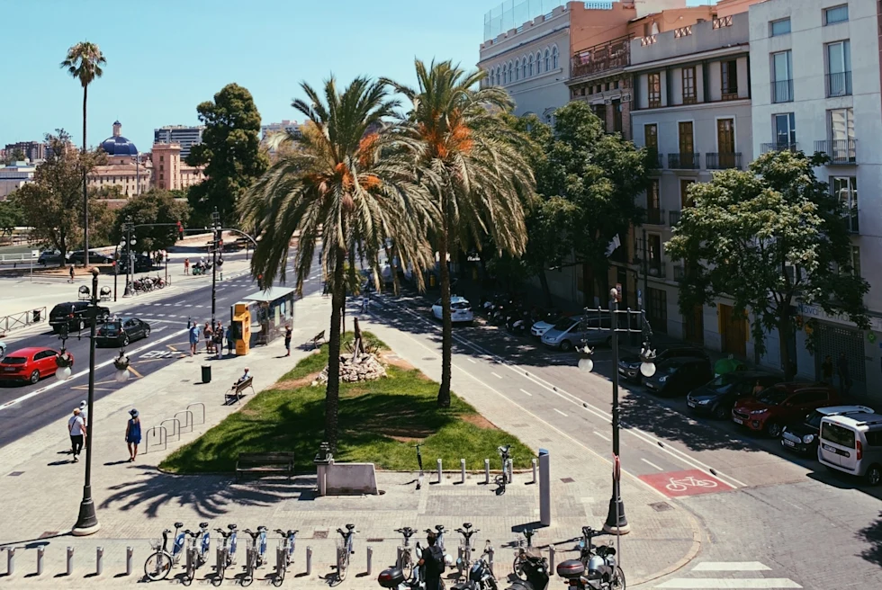 empty city street with a highway visible to the side and a small park of palm trees