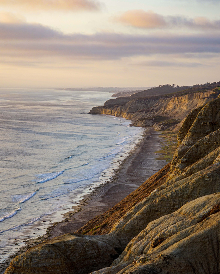 Ocean along coastline with pink and purple clouds