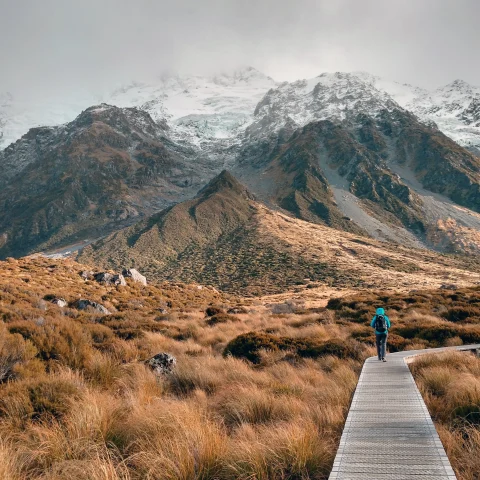 Person walking on wood path next to valley and snow-covered mountains