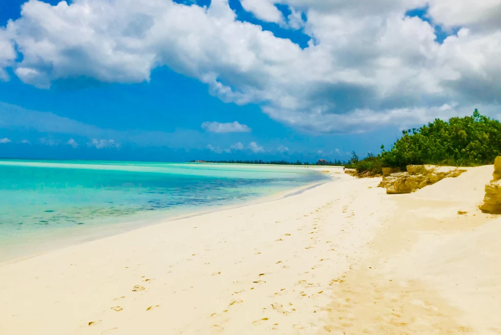 Sand and water with blue skies and white clouds during daytime