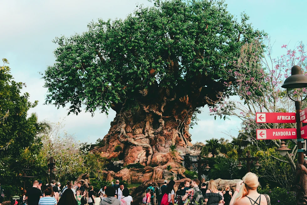 People standing on road with large tree in background during daytime