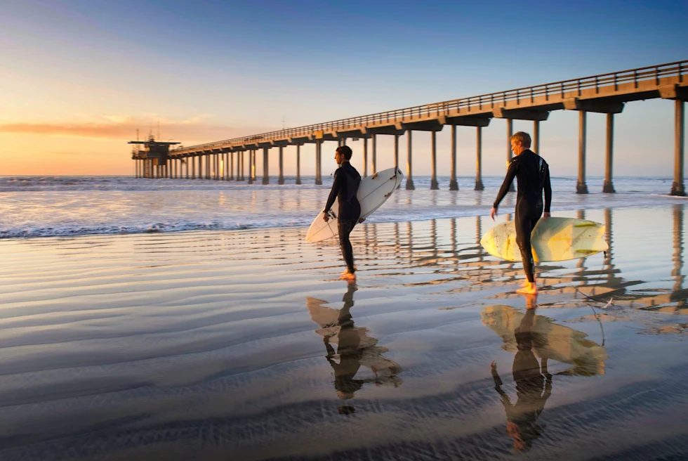 Two people walking with surfing board near the beach.