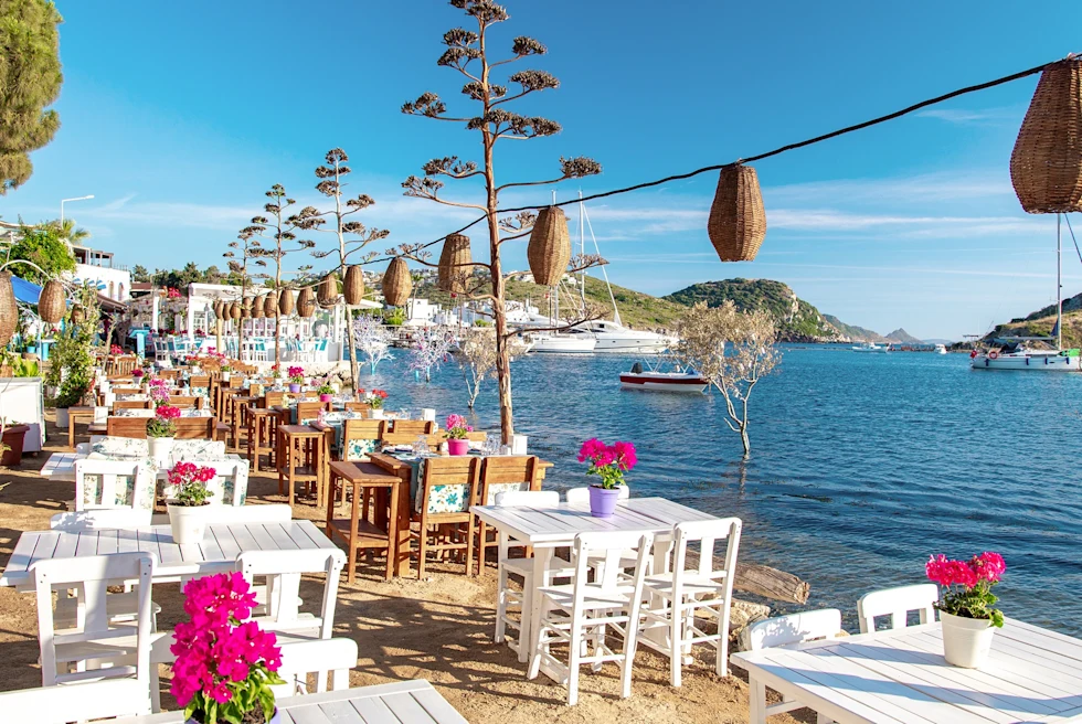 dining with a beautiful view