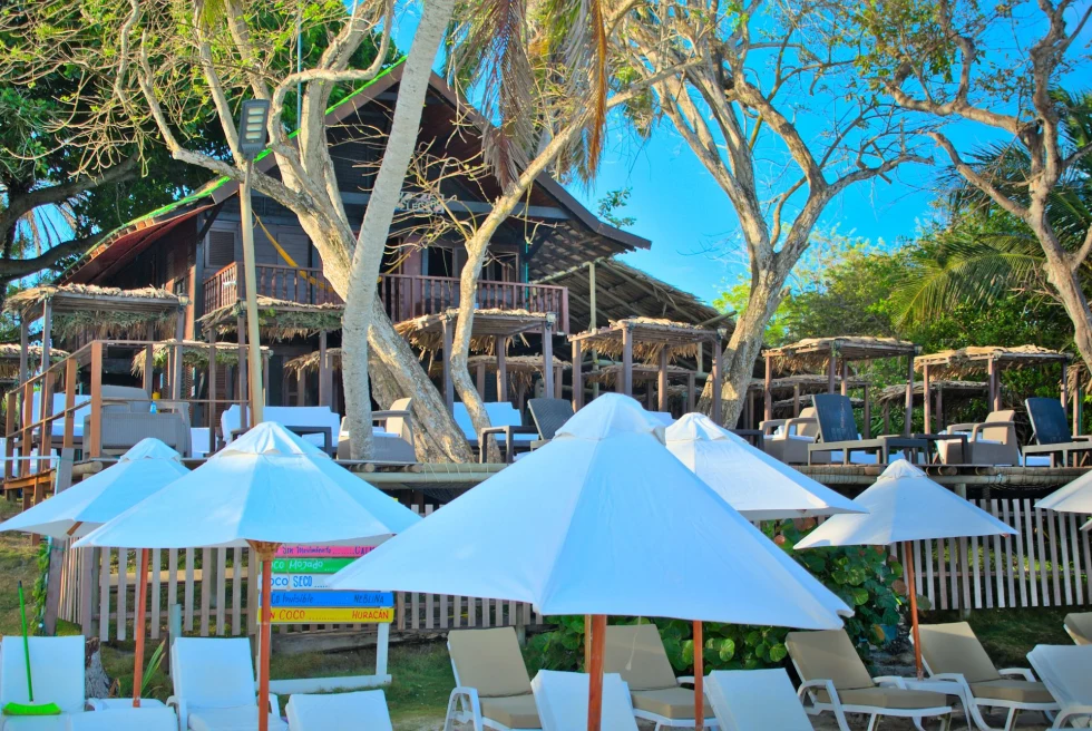 umbrellas at beach club 