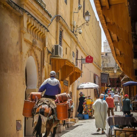 cobblestone street with yellow stone buildings, a man riding a camel holding various baskets into a bustling street market