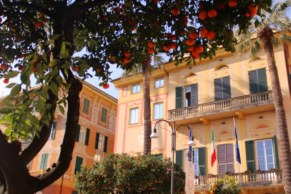 orange trees in front of building with Italian flag