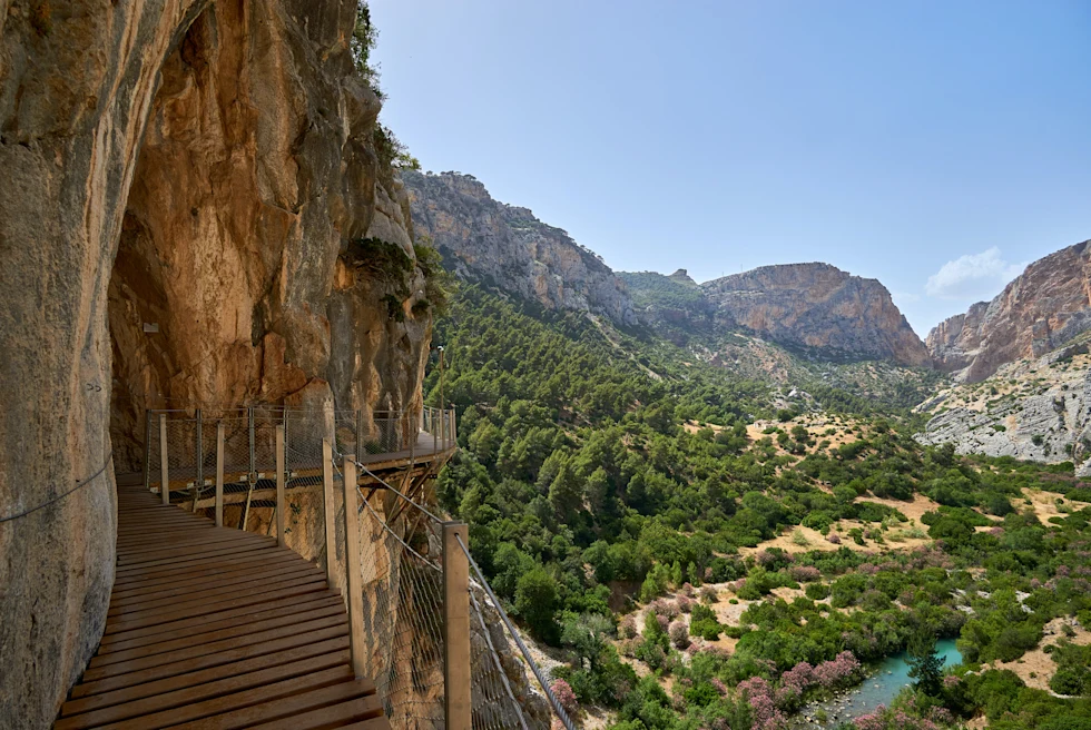 Wooden bridge on mountainside next to valley