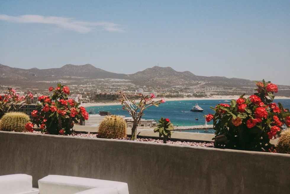 white chairs with the ocean in the background during daytime