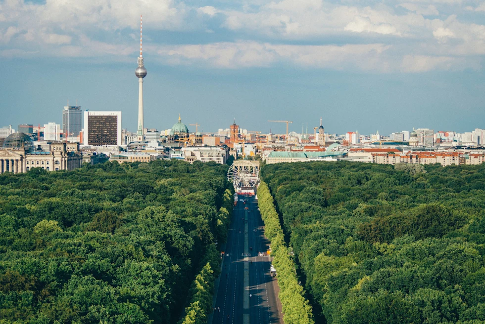 Green foliage lining a street with city in background