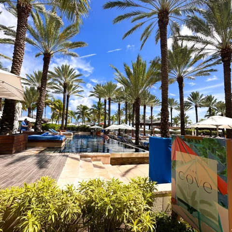 A view of pool patio surrounded by green shrubs, multiple palm trees towering over, white umbrellas, lawn chairs and a sign that says 'cove'. There are also stone steps leading down to the front of the pool. 