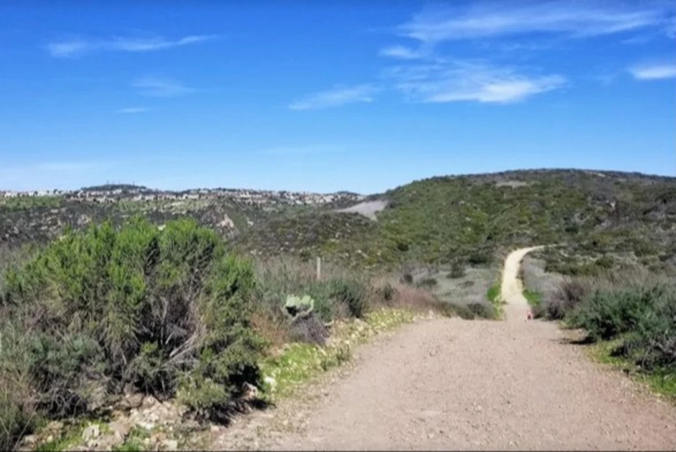 El Moro Canyon Loop Trail is a 2.9-mile loop trail near Laguna Beach.