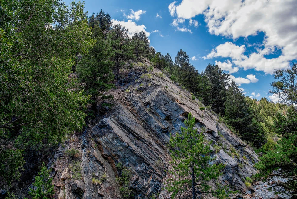 A rocky cliff with trees