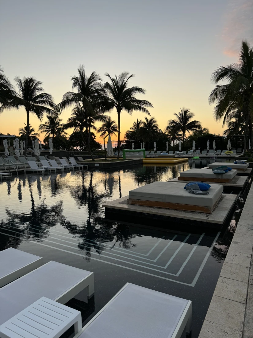 A swimming pool surrounded by lawn chairs, palm trees and day beds. There is a lush palm tree in the background and a golden sunset in the background. 
