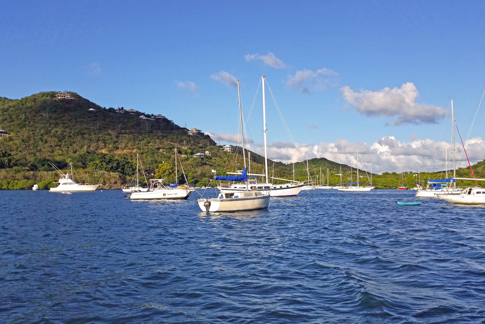 Sail boats on Coral Bay in St. John with a blue sky