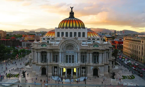 Local Vegetarian Food, Art History & Culture Guide in Mexico City curated by Catarina Rivera