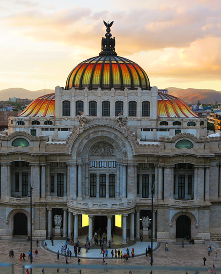 Local Vegetarian Food, Art History & Culture Guide in Mexico City curated by Catarina Rivera