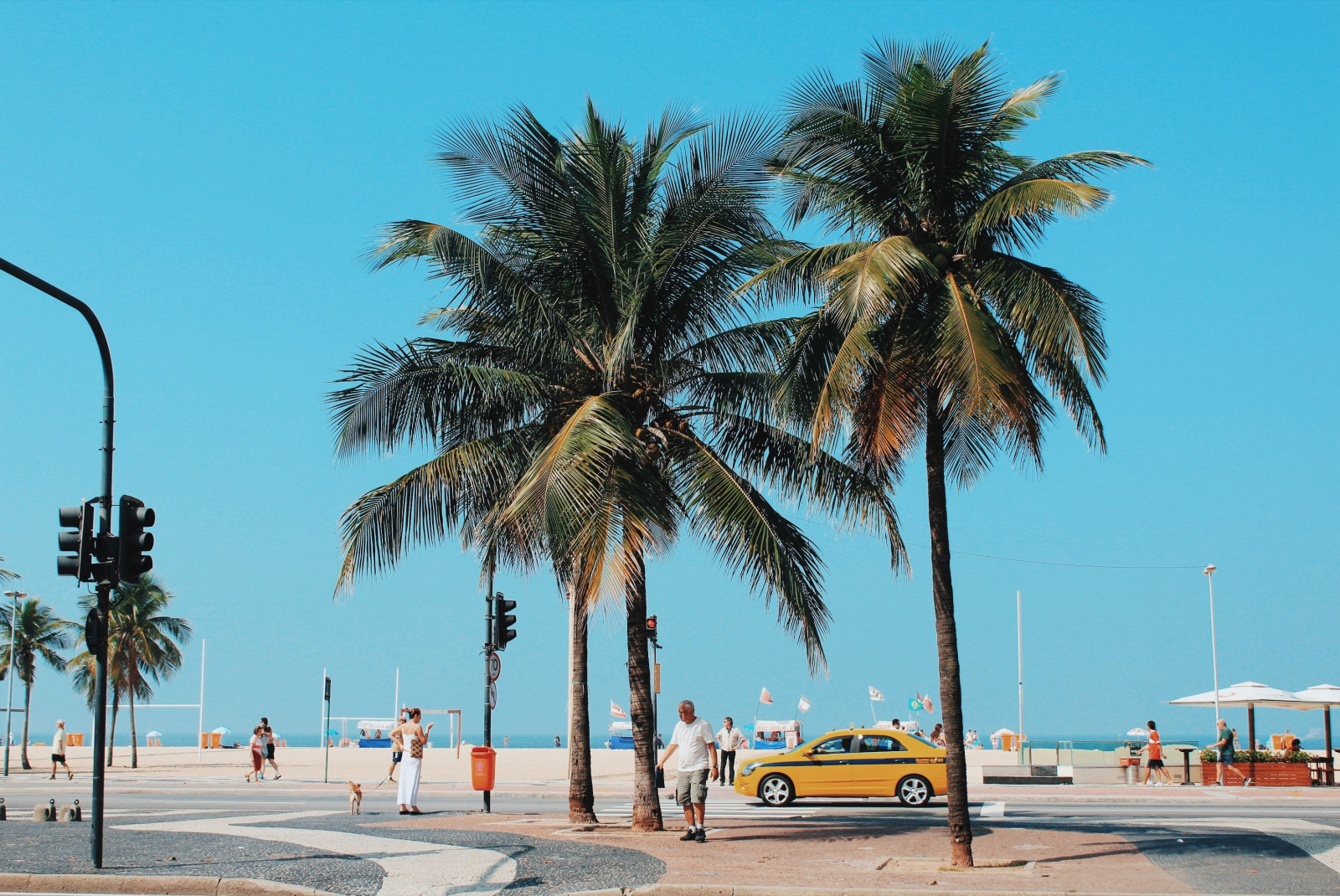 Palm trees, cars and pedestrians by the beach in Copacabana, Brazil