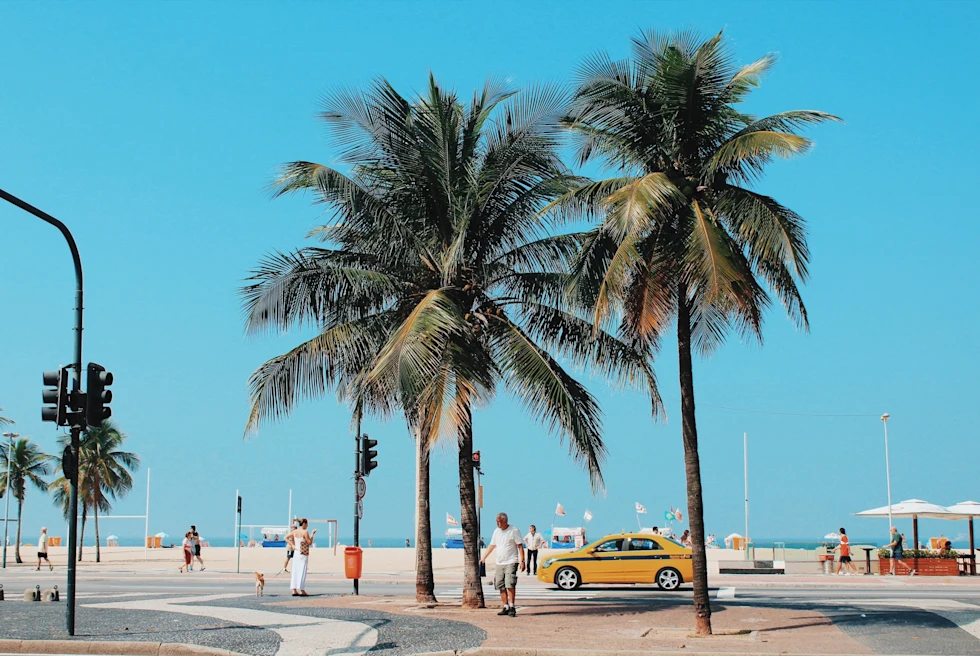 Palm trees, cars and pedestrians by the beach in Copacabana, Brazil