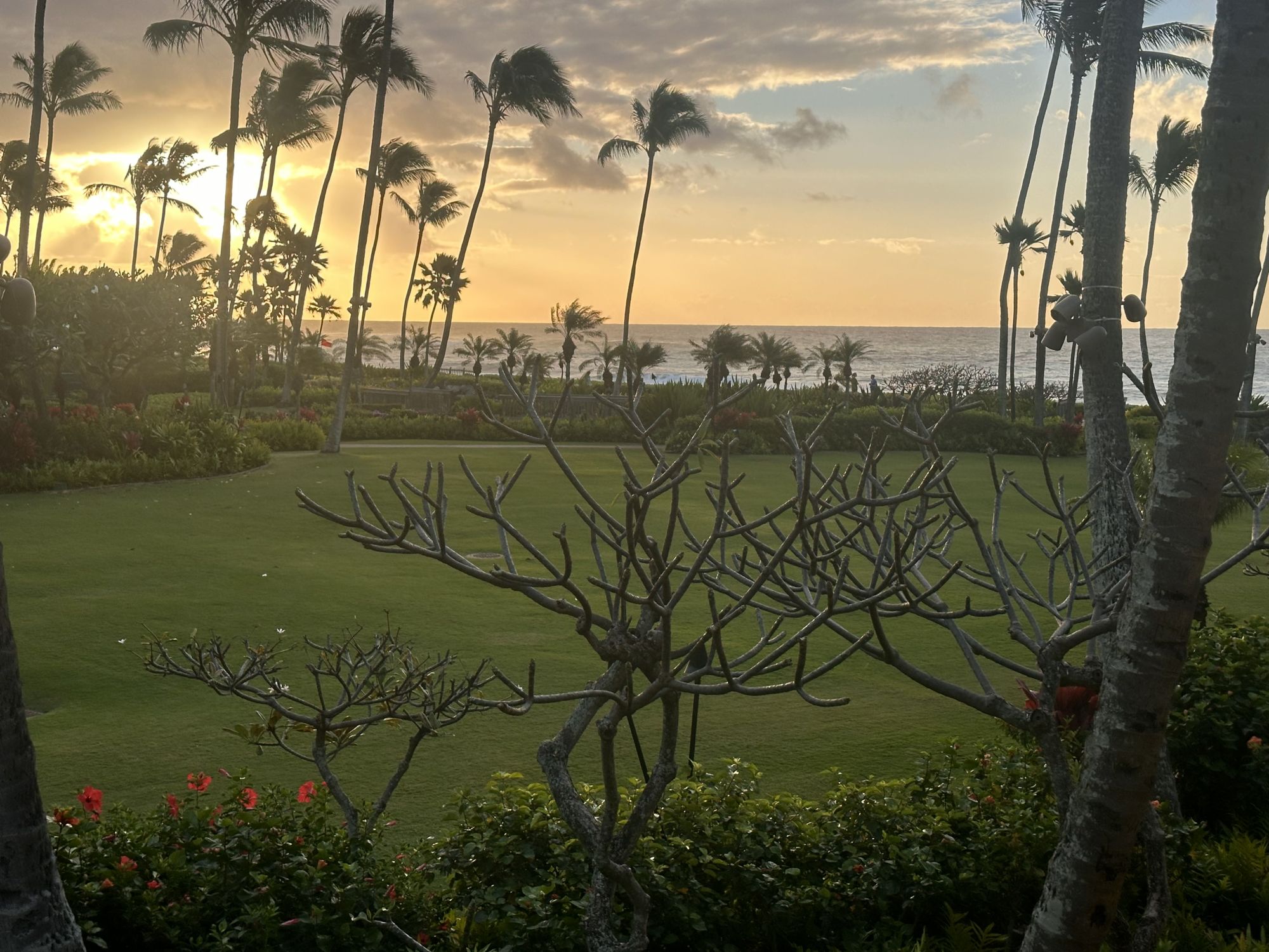 Shasta Reeves Site Inspection at Grand Hyatt Kauai Resort & Spa