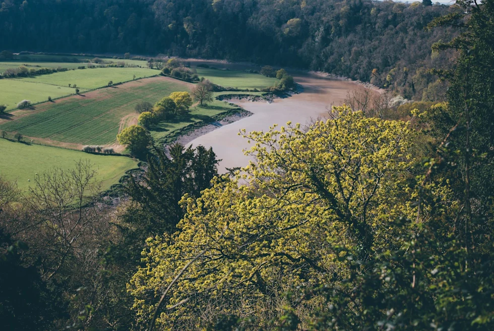 a river in a countryside with farm land and trees