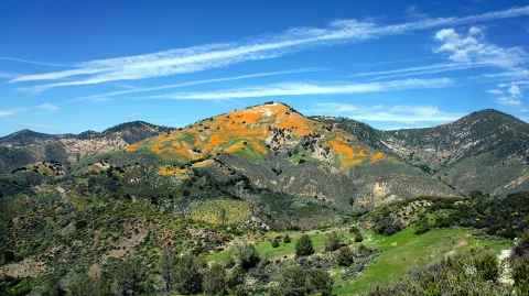 Green and orange hills in los alamos California with blue sky and white clouds 