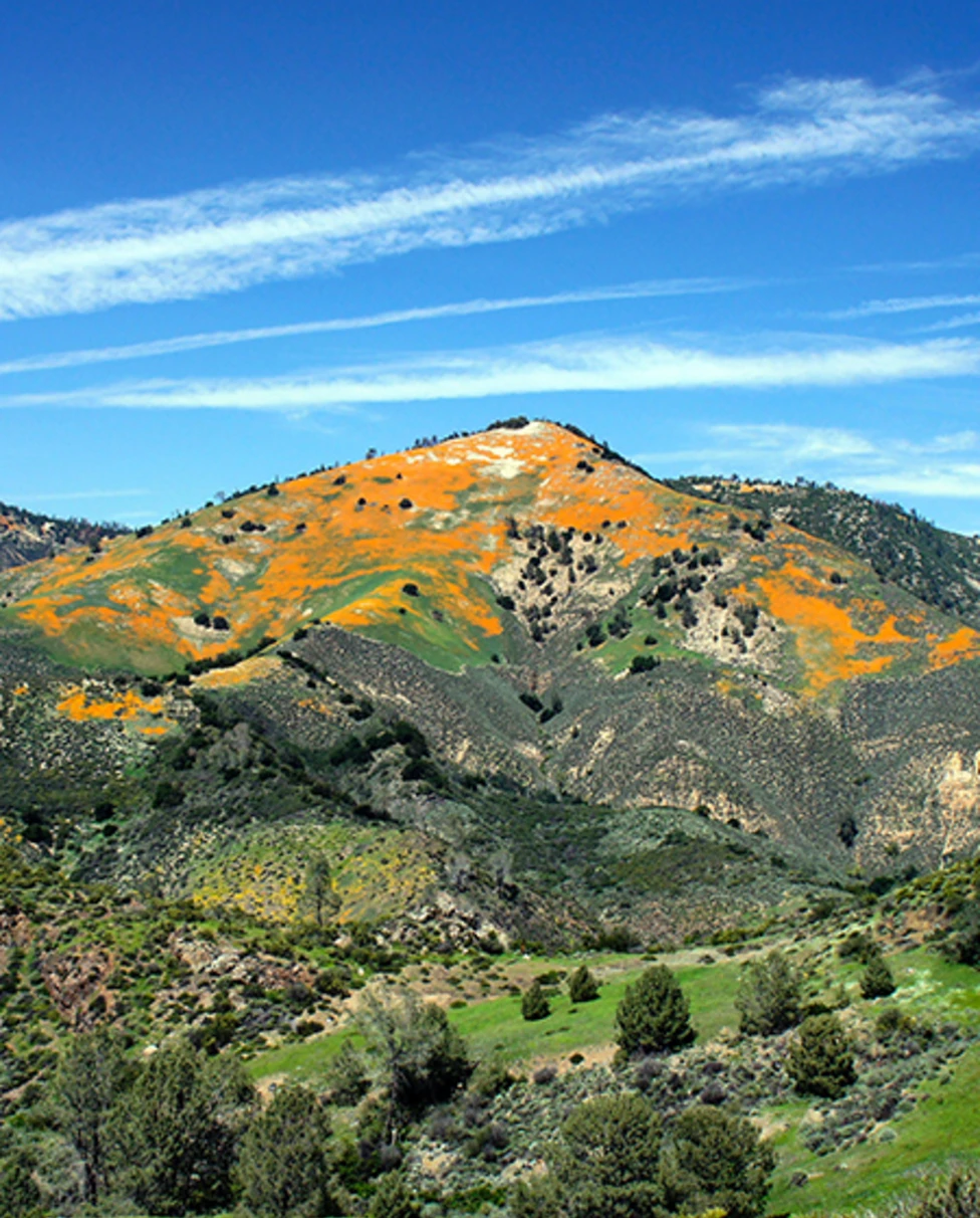 Green and orange hills in los alamos California with blue sky and white clouds 