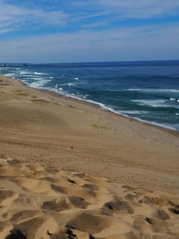A beach with golden sand and blue water at Tottori Sand Dunes, frequently mistaken for Hokkaido Beach.