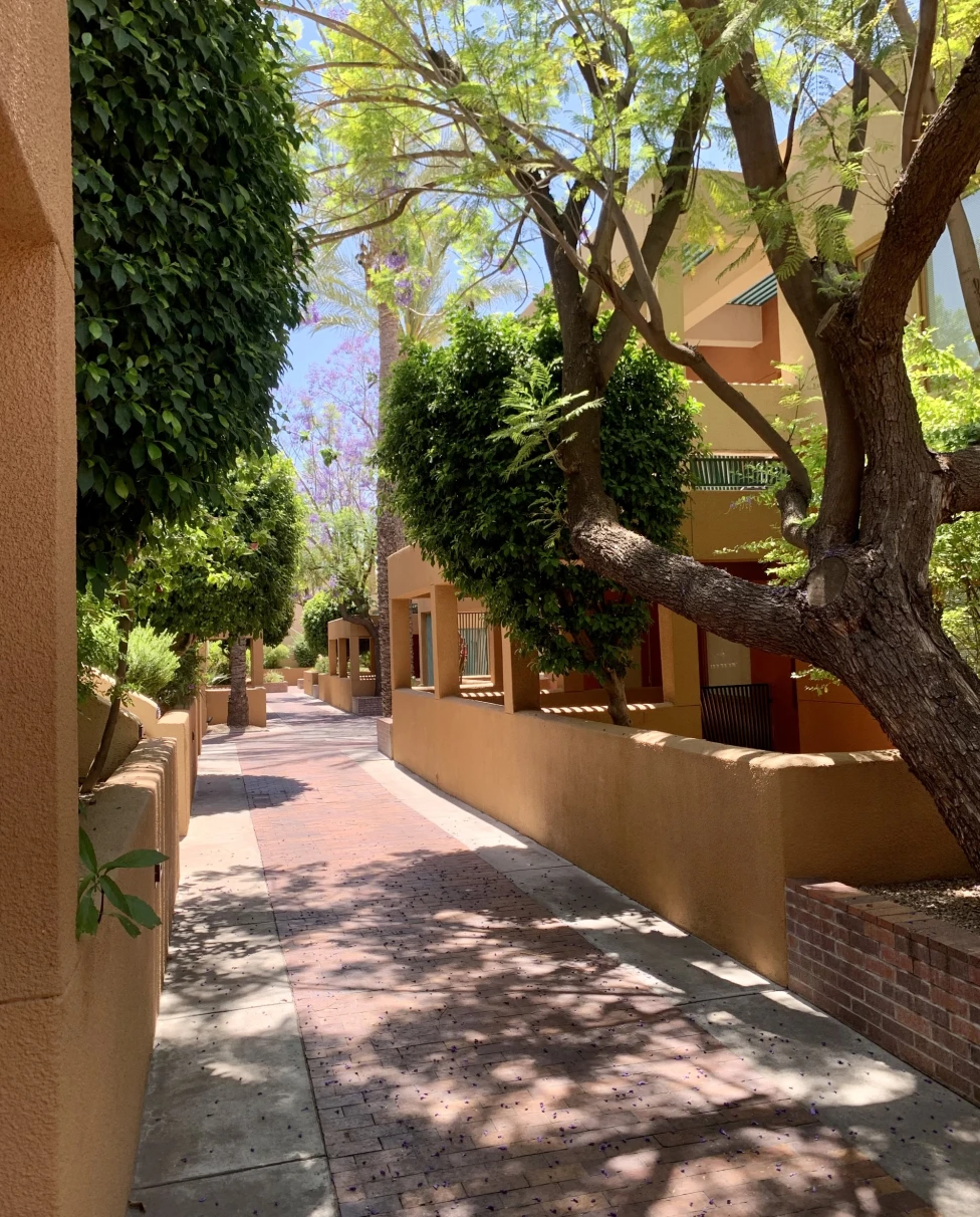 A pathway with brown buildings and trees on the side. 