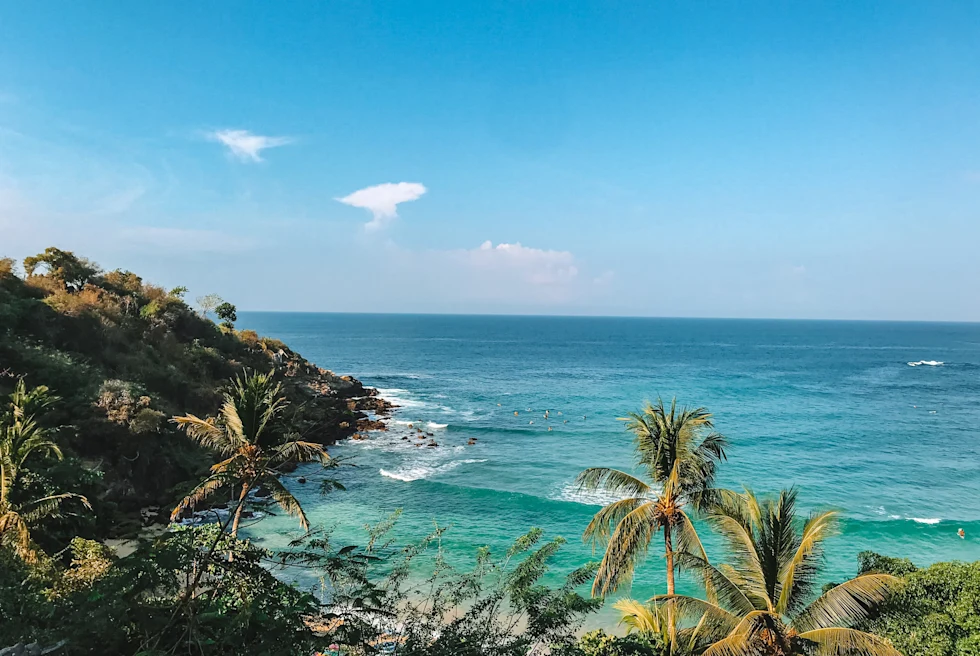 palm trees next to the ocean during daytime
