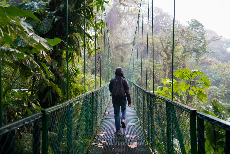 person walking over hanging bridge