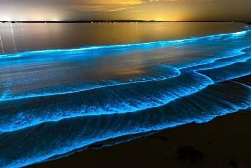 La Parguera is a bioluminescent bay.