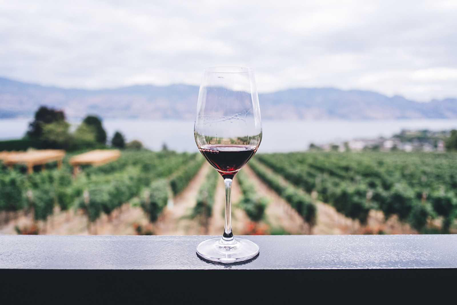 clear wine glass with red wine on black wooden balcony overlooking vineyards of green grape vines and blue mountains