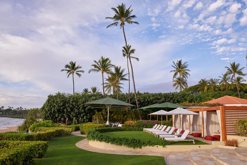 lounge chairs next to palm trees during daytime