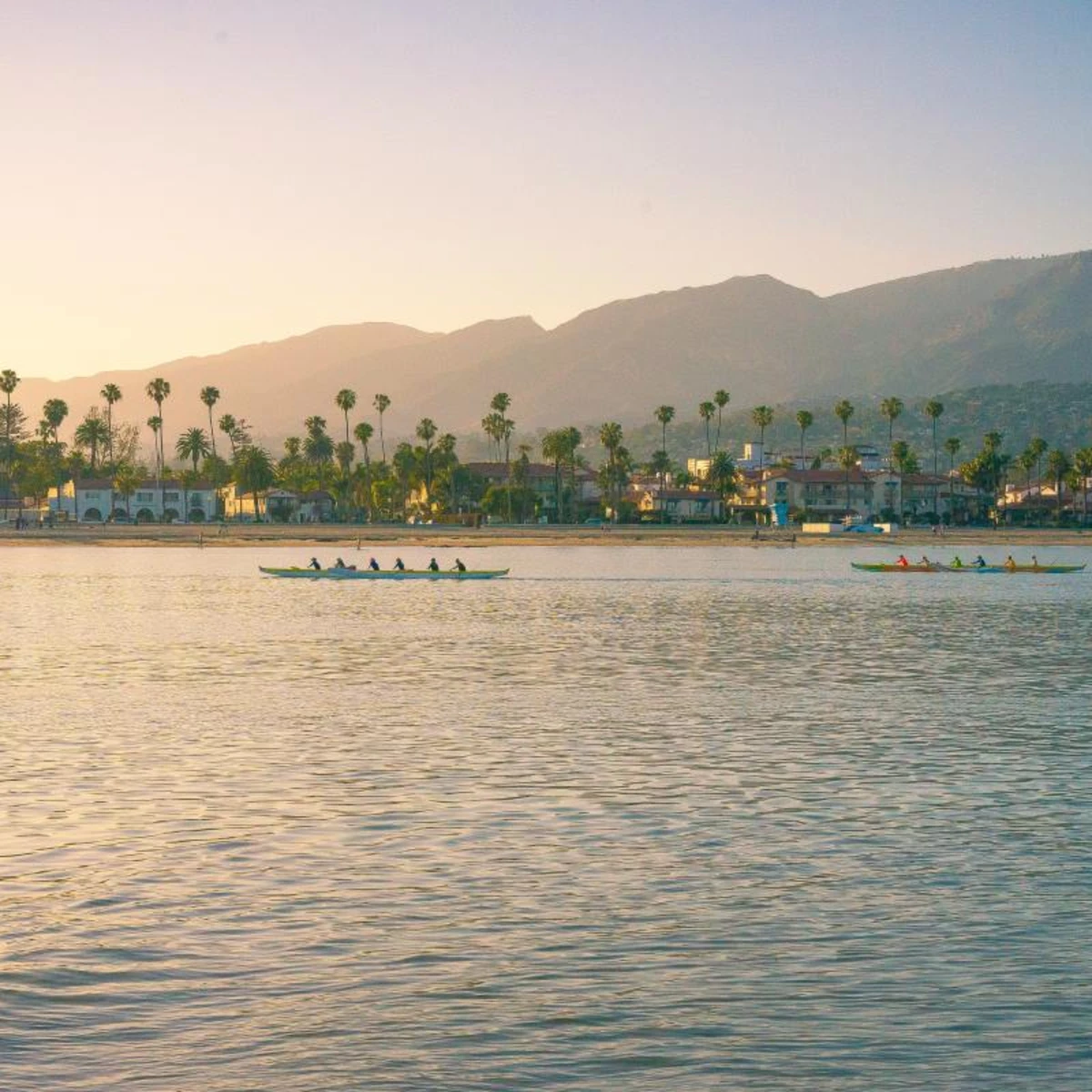 Flat and straight coastline lined with palm trees and boutique shops by ocean in Santa Barbara.