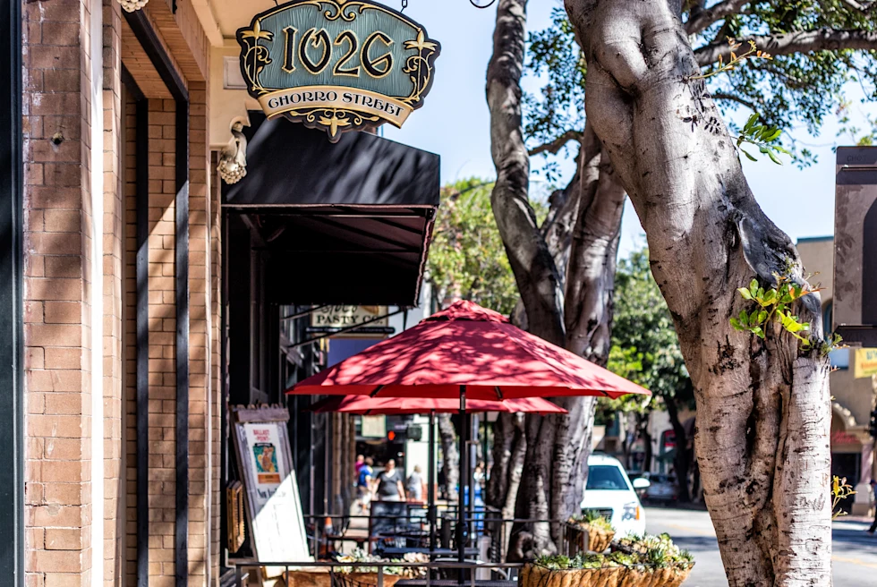 sidewalk next to tree and businesses