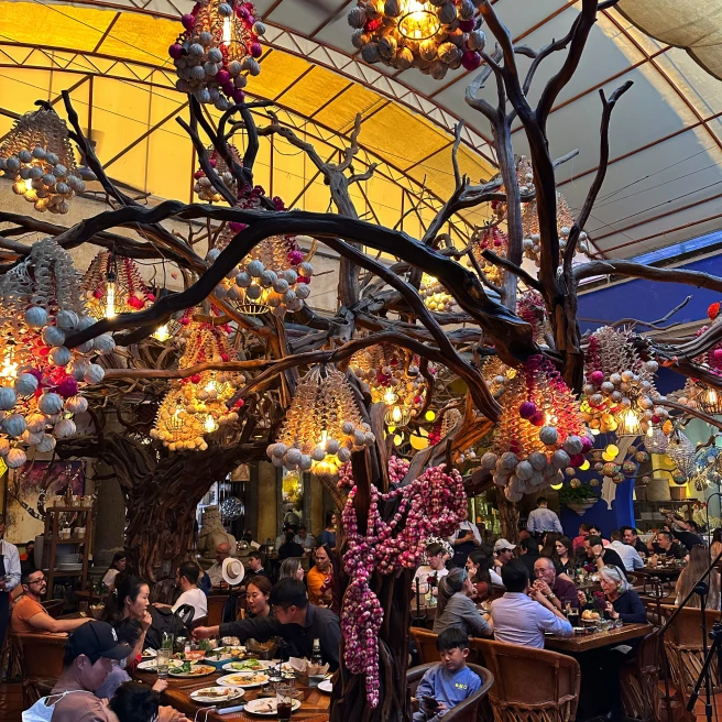 busy restaurant with an indoor tree strung with lights and beads