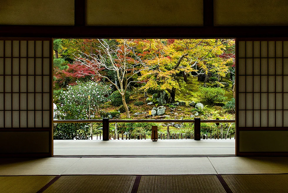 Japanese garden in Japan with yellow green and red trees and sliding wood and white doors