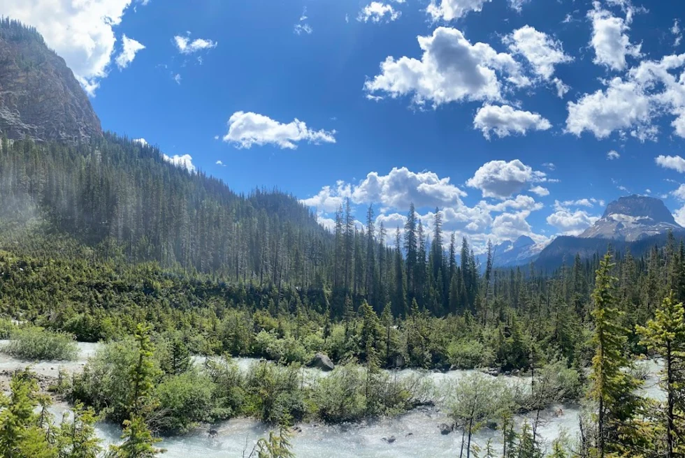 Panoramic views of forest and mountains.
