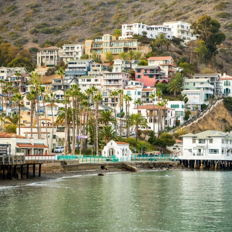 View of the hillside of Avalon, Catalina Island, with rows of houses, a boardwalk and water